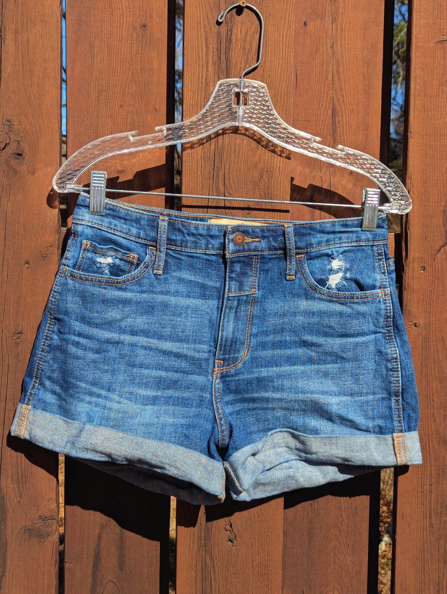 HOLLISTER