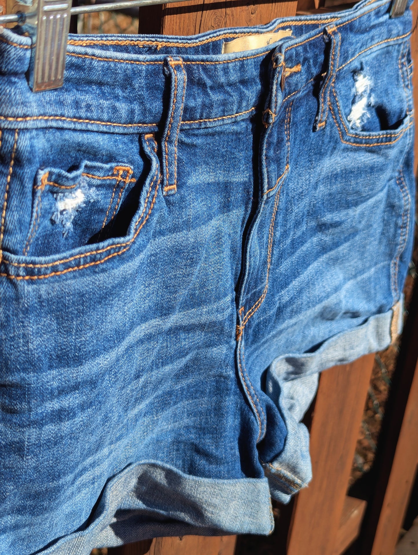 HOLLISTER