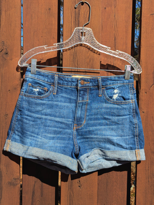 HOLLISTER